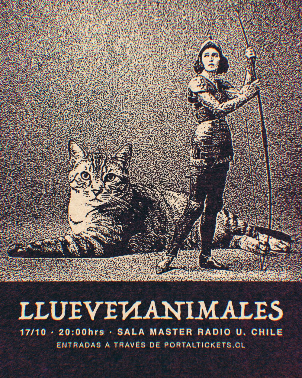 LLUEVEN ANIMALES EN SALA MASTER